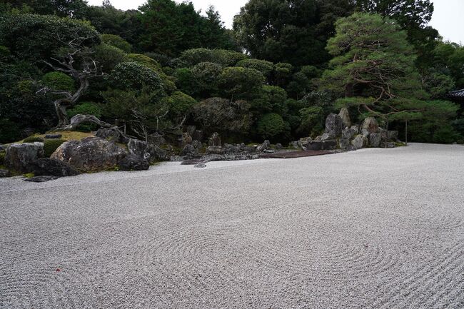 東照宮の脇から降りると、方丈の前に広がる庭に出る。<br />鶴亀の庭と呼ばれる枯山水の庭園で、小堀遠州の作である。<br />特別拝観の時間まで30分ほどあったので、方丈の前に座り、庭を眺めて過ごすことにした。