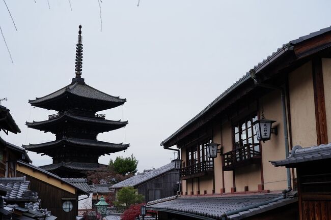 高台寺前からは、急に観光客の姿が増えてきた。<br />竹内栖鳳艇跡の脇から一念坂を通り二寧坂へと出ると、さらに人で溢れかえっていた。<br />まさに観光地と言った風情で、派手な着物を着た若い人たちも多い。<br />産寧坂も大いに賑わい、立ち止まることすらできない。<br />道の先には、八坂の塔が見えてきた。