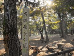 奈良公園の紅葉はどうでしょう？