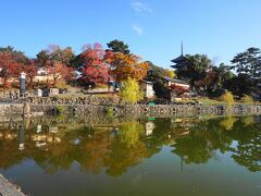 池に写る紅葉も綺麗ですね。