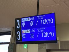 食事後適当に時間をつぶしてバスで空港に着きました。
15:45発の便に乗ります。