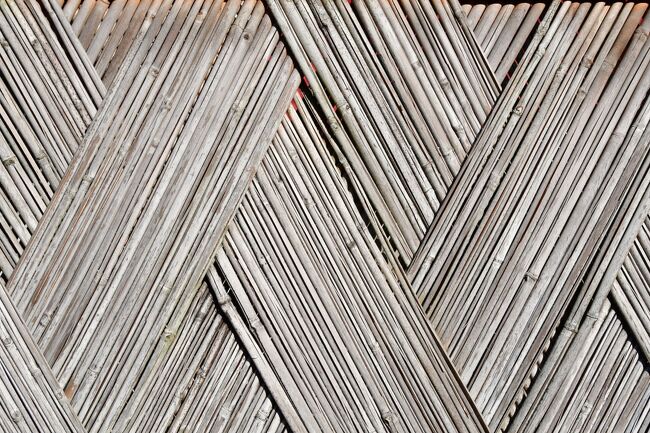 沼津御用邸<br />沼津垣。<br />江戸時代以前からあった垣根。