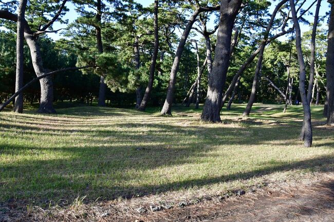 沼津御用邸<br />敷地は木々が多い。