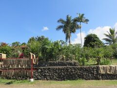 ホナウナウ公園から車で北上してコナコーヒーベルトにあるグリーンウェル・コナ・コーヒー農園にやってきました。