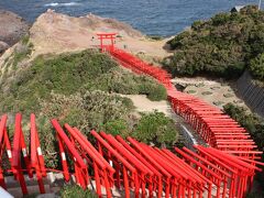 そして元乃隅稲荷神社へ。
近年超有名になった神社だが、アクセスが良くない。
道路の整備が、人気の急上昇に追い付いていない感じ。
グーグルさんに導かれ、対向するのが難しいような、細い山道を越えて到着した。
