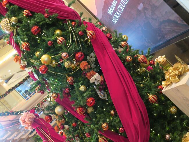 飛鳥 神戸クリスマス 待望のクルーズ船の運航再開 まずは手始めにそろりとワンナイトで 神戸 兵庫県 の旅行記 ブログ By Pomfiさん フォートラベル