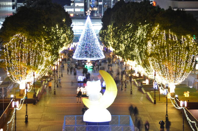 世界のクリスマスツリー写真集 50ヶ国地域以上掲載 札幌 北海道 の旅行記 ブログ By こぼちゃさん フォートラベル