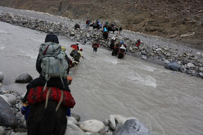 ヤクに乗って渡れるから快適なのだが、ここで落ちたら悲惨だぞ！