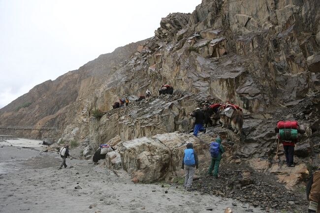 この崖っぷちを登って・・