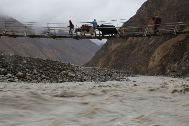 つり橋を渡る。