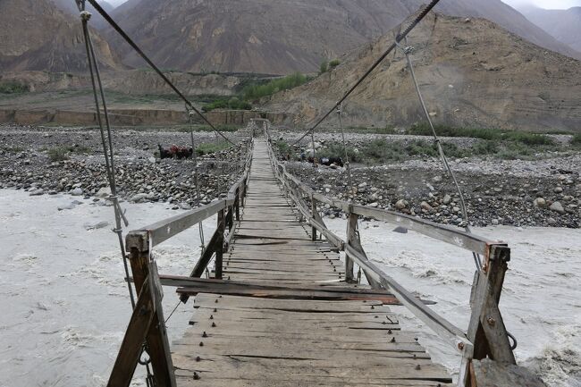 人間には十分だけど、ここを渡れるヤクは限られたエリート。