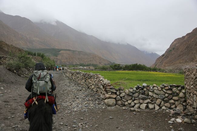シムシャル村の端っこが見えた。