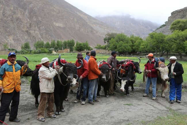 ヤクと最後の記念撮影<br /><br />動画あり<br />https://youtu.be/CZrxlF1xVeU