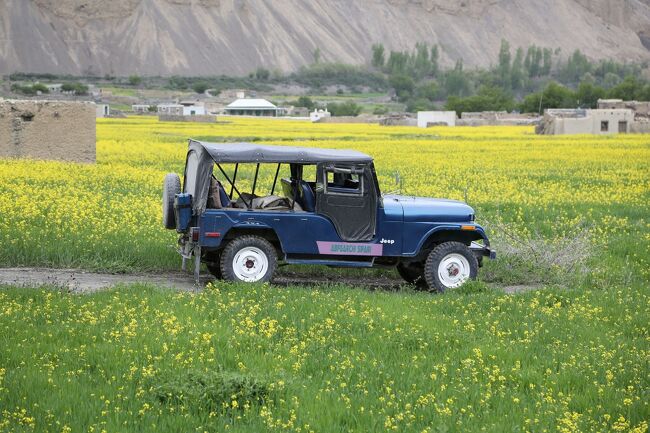 町への定期便もなくて、人数が集まればジープをチャーターするということ。