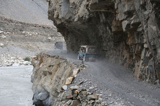雨除けにはなりそう