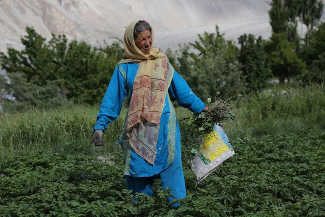 地元スタッフの一人が「おらの知り合いがサクランボ農園をやってるから遊びに行こう・・」ってことになった。