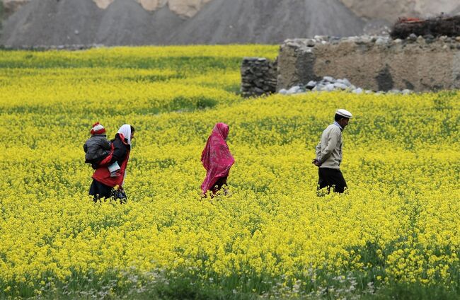 何処に行くのかな