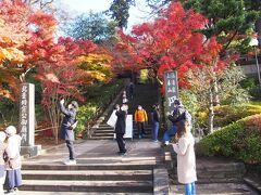 円覚寺前

きれいに色づいていますね。