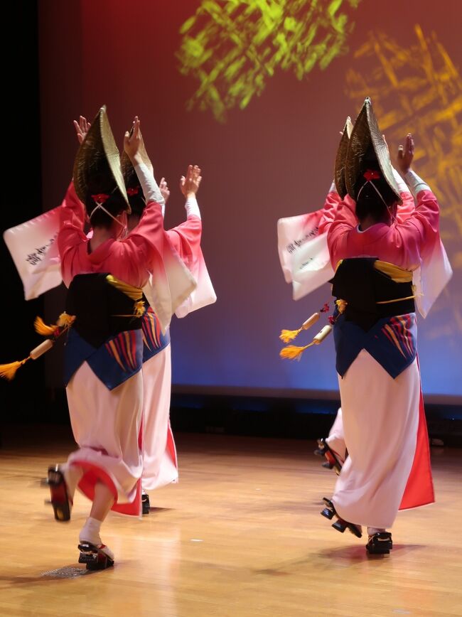 阿波おどり 女踊り ゆかた 編み笠 手甲 帯上げ 帯締め レディース
