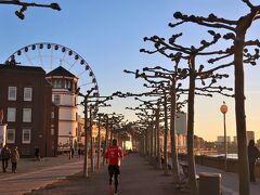 Rheinuferpromenade（ラインウーファープロメナーデ）

ライン河畔の遊歩道。冬の晴れ間には日光を浴びてビタミンDを生成。