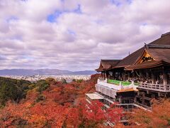 まだ修復工事やってますが、紅葉は見事ですね