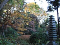 武蔵小山商店街パルムを通り抜け、もう暫く歩くと戸越公園に到着