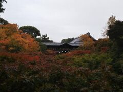 お部屋に荷物を置いた後は徒歩で東福寺へ。
始まりかけた紅葉目的。