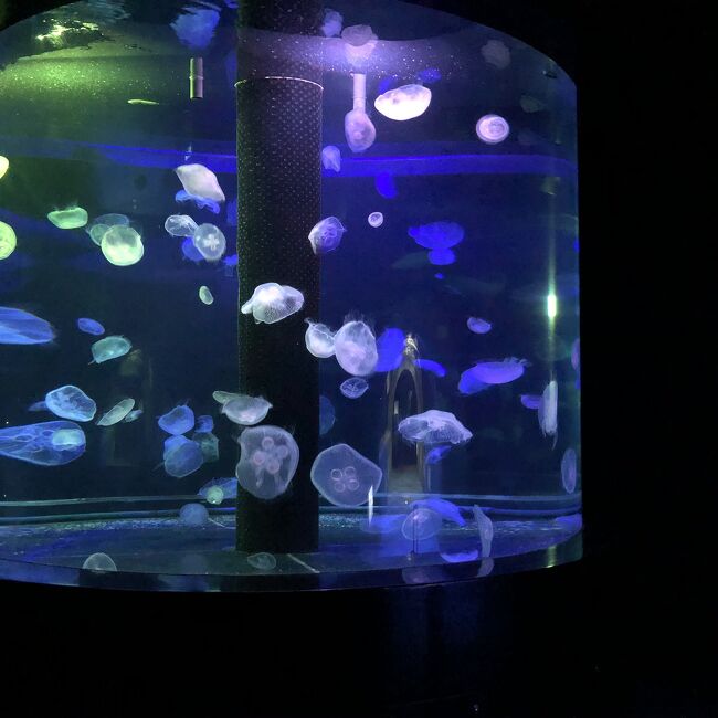 水槽 ミニ水族館のための家のための小さいサイズの設計アクリル水槽 ピンク 86 Off 水槽 ミニ水族館のための家のための小さいサイズの設計アクリル水槽 ピンク 86 Off