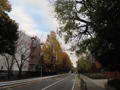 東京芸術大学