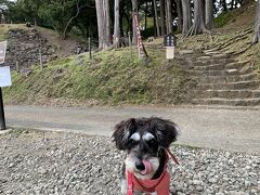 前には石垣山一夜城。
登っていくと公園になっています。
