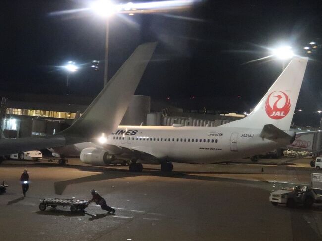 徳島空港17 50 羽田空港19 00 Jal462便 47k席 千葉 海ほたるの夜景を眺め 羽田 東京 の旅行記 ブログ By マキタン２さん フォートラベル