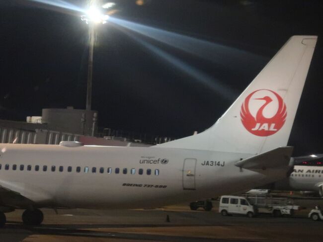 徳島空港17 50 羽田空港19 00 Jal462便 47k席 千葉 海ほたるの夜景を眺め 羽田 東京 の旅行記 ブログ By マキタン２さん フォートラベル