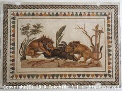 エル・ジェム考古学博物館
(?????? ?????? ?????)

古代カルタゴや古代ローマの都市シスドラスの頃のモザイクを集めた博物館です。
こちらは「猪を襲うライオン」のモザイクです。


エル・ジェム考古学博物館：https://en.wikipedia.org/wiki/El_Djem_Archaeological_Museum
エル・ジェム考古学博物館：http://www.patrimoinedetunisie.com.tn/eng/musees/eljem.php
古代カルタゴ：https://en.wikipedia.org/wiki/Ancient_Carthage
古代ローマ：https://ja.wikipedia.org/wiki/%E5%8F%A4%E4%BB%A3%E3%83%AD%E3%83%BC%E3%83%9E
シスドラス：https://en.wikipedia.org/wiki/Thysdrus