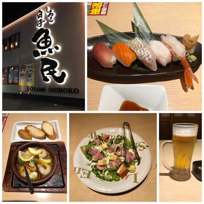 とにかくお腹がすいた！お店を探すのも面倒で駅前にあった魚民で夕食。サラダの野菜がとっても傷んでいて食べられず。まあスタッフの対応が良かったので・・