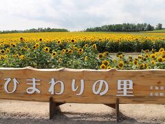 そして、7月25日、再び同じ方面へ出かけます。この日は北竜町（秩父別町の隣町）です。ここでは、この前後約1か月の間「ひまわりまつり」が開かれています。今年もひまわりの鑑賞を楽しみに訪れました。