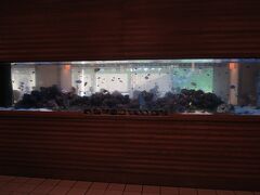 朝食は１階にあるレストラン　アクアリス
その名の通り入り口前には大きな水槽がありました。