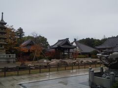 まず屋島寺を訪ねます。