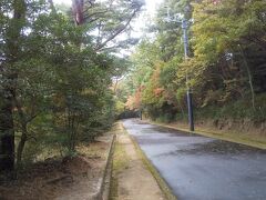 屋島寺の後は屋島の山頂路を散策します。
イノシシ注意の看板がありました。
（ドキドキしながら歩きました）
