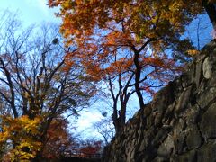 城内を進んで行くと紅葉（コウヨウ）真っ盛りの風情に高揚（コウヨウ）してきます。ちょっと洒落てみました。