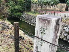 人込みに疲れたので
静かな場所へ移動しましょうか。

少し歩くけど
「哲学の道」へ

