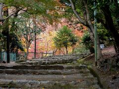 続いて、嵐山へ。
仁和寺からは自転車で20分もかかりません。

嵐山…と言っても、渡月橋から西の山の方に入ったところです。急に人がいなくなります。