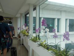 那覇空港に到着。
ボーディングブリッジの胡蝶蘭が迎えてくれます。