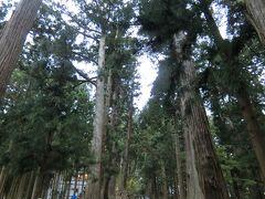 一関駅からバスに乗って中尊寺へ。
鬱蒼と茂る林の中を通っていきます。