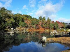 その悪い思い出を払拭するかのようなこの日の曹源池庭園