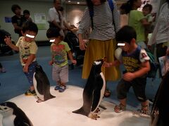 １２時半。幼児は動かないペンギンの人形にはしゃいでる。