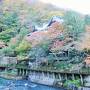 県内旅行で箱根強羅から箱根塔ノ沢へ。③塔ノ沢の憧れの宿である老舗旅館の環翠楼へ。その１