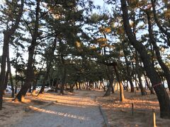 須磨海浜公園