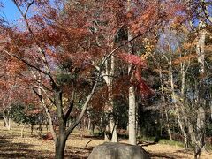 やっと内牧公園到着。駅から徒歩25分くらい。