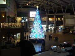 ホテルに戻ってきました。
アミュプラザのクリスマスツリー。