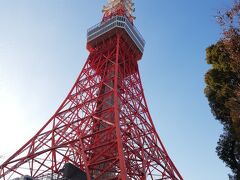 東京タワーの真下まで来ました。